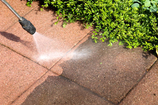 Best House Pressure Washing  in Bellville, TX